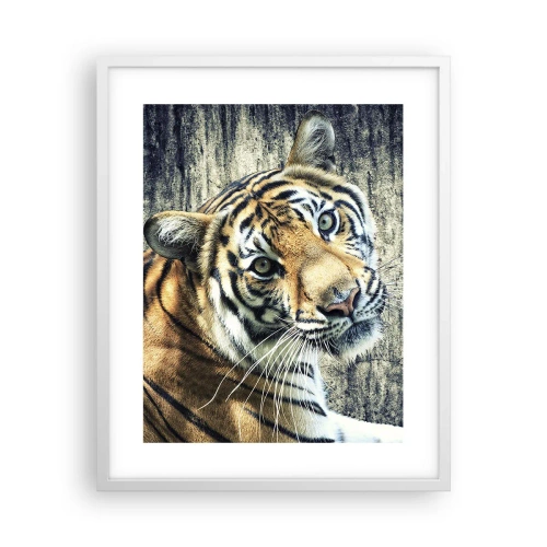 Plagát v bielom ráme - Portrét v prameňoch svetla - 40x50 cm