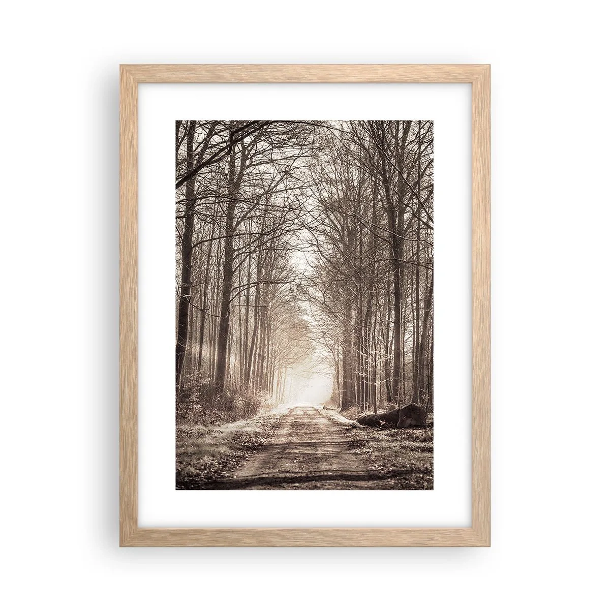 Plagát v ráme zo svetlého duba - Lesná katedrála - 30x40 cm