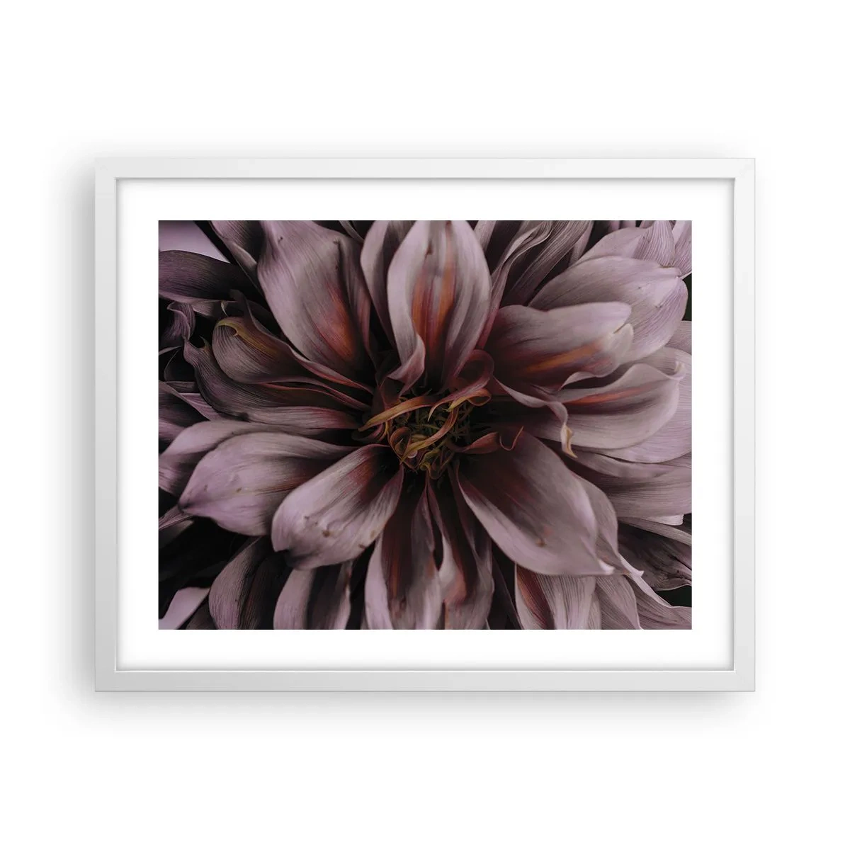 Plagát v bielom ráme - Kvetinové srdce - 50x40 cm