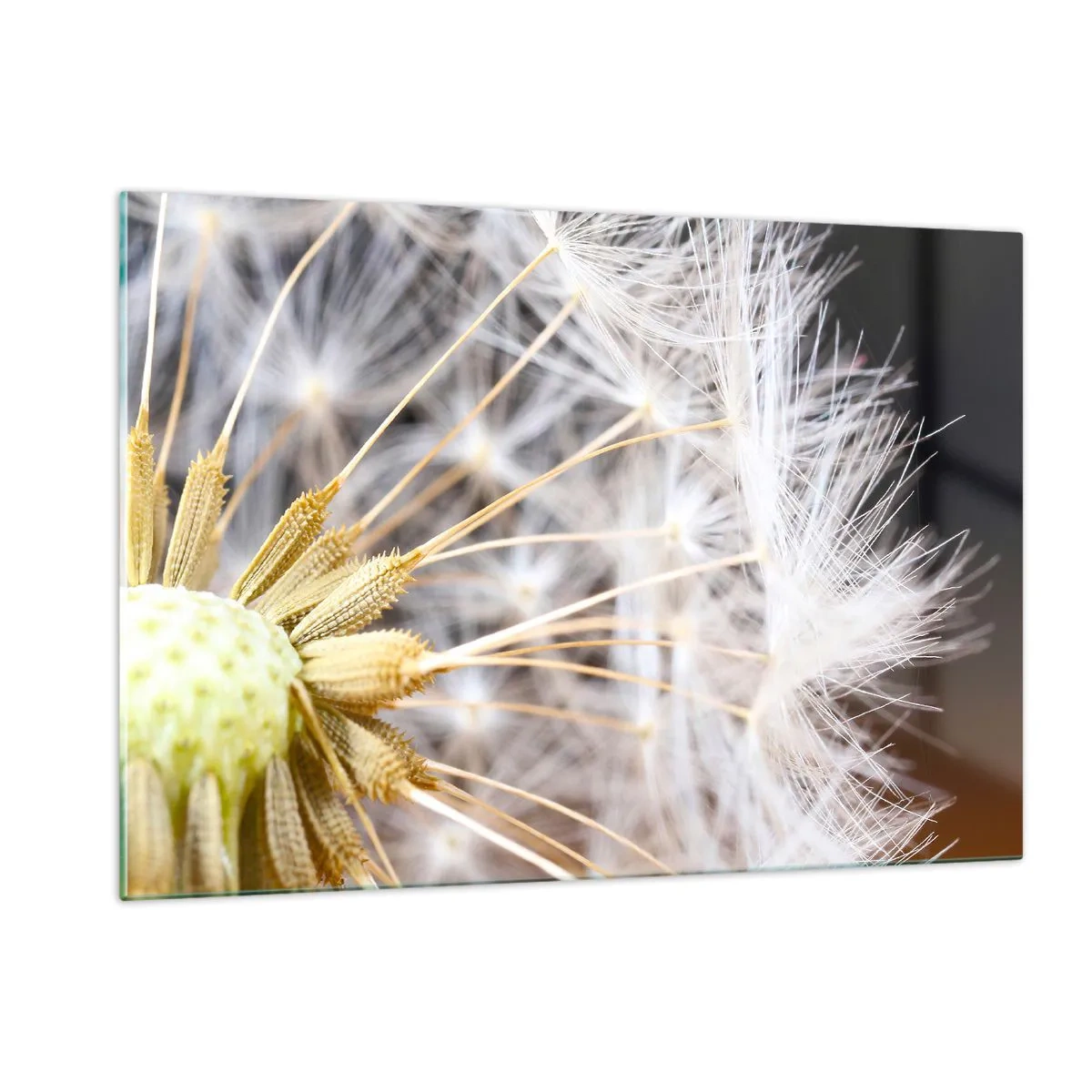 Obraz na skle - Tesne pred odletom - 120x80 cm