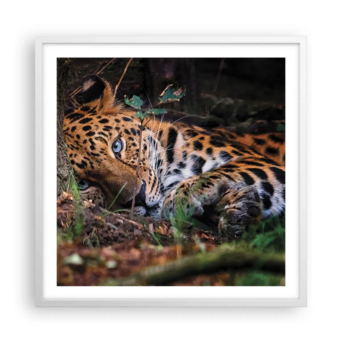 Plagát v bielom ráme - Ver mi - 60x60 cm