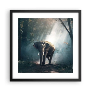 Plagát v čiernom ráme - Pokojná prechádzka - 40x40 cm