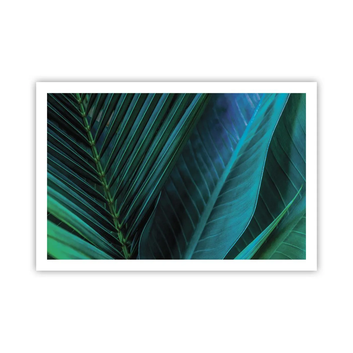 Plagát - Anatómia zelene - 91x61 cm