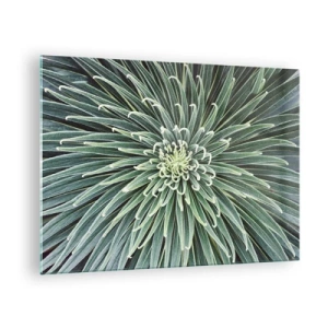 Obraz na skle - Symetrická ružica zelených listov v makrofotografii - 70x50cm - Zrodenie hviezdy - Moderná nástenná dekorácia do obývacej izby a spálne ARTTOR