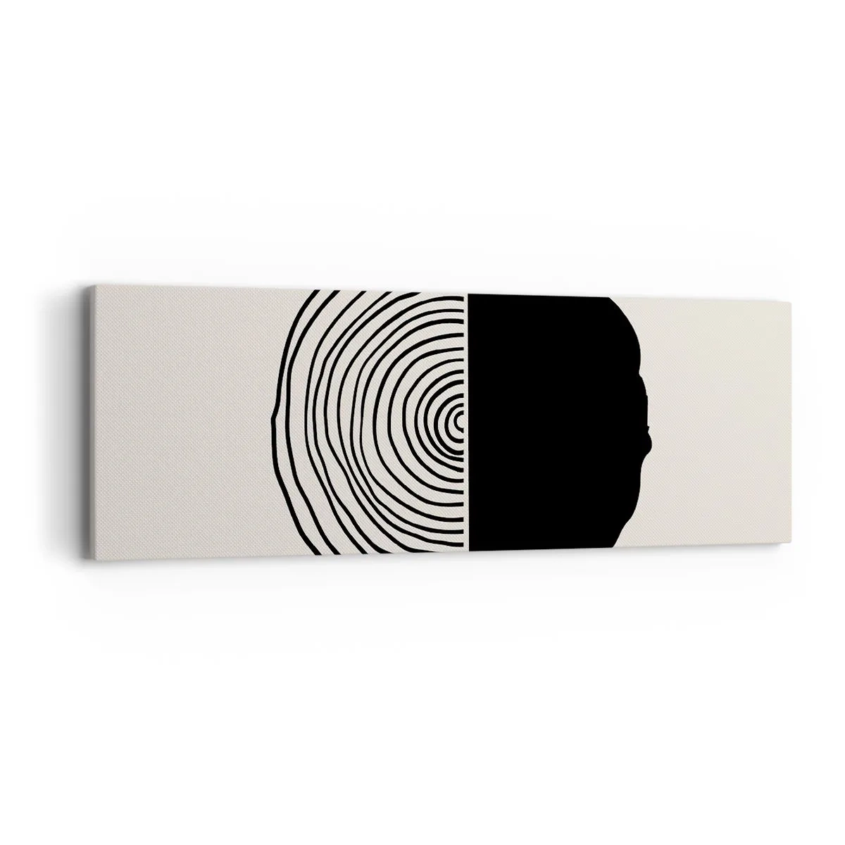 Obraz na plátne - Pol na pol - 90x30 cm