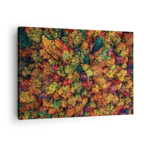 Obraz na plátne - Farebné koruny stromov v jesennej palete - 70x50cm - Kytica jesenných stromov - Moderná nástenná dekorácia do obývacej izby a spálne ARTTOR