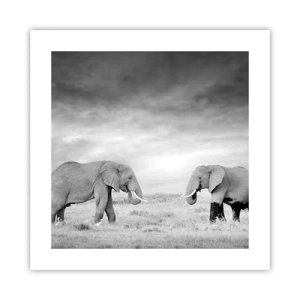 Plagát - Šedá je krásna - 40x40 cm