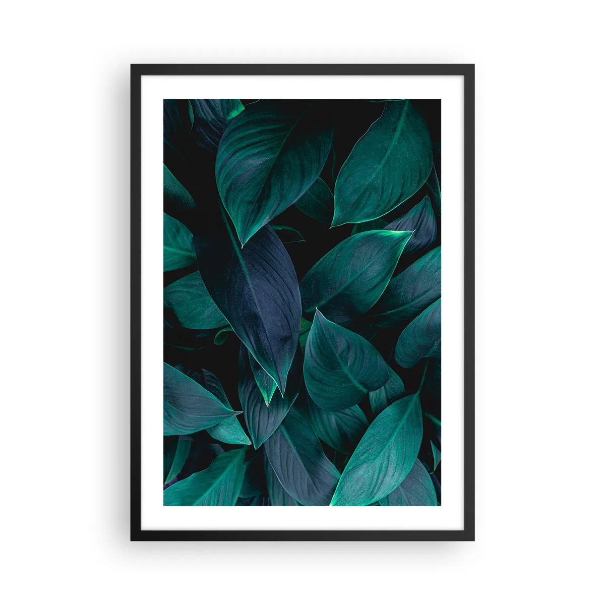 Plagát v čiernom ráme - Tmavozelené listy s jemným podsvietením - 50x70cm - Zeleň sama o sebe - Moderná nástenná dekorácia do obývacej izby a spálne ARTTOR