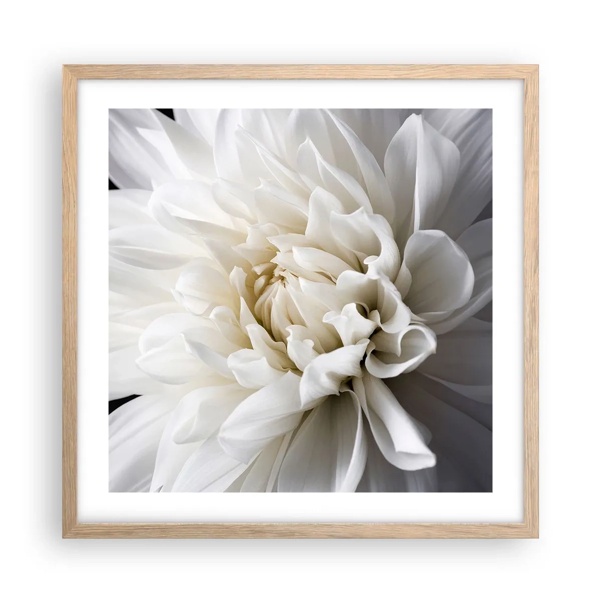 Plagát v ráme zo svetlého duba - Ráno s nevestou - 50x50 cm