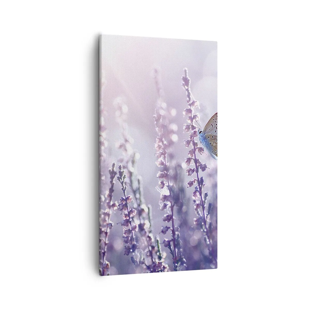Obraz na plátne - Bozk motýľa - 55x100 cm