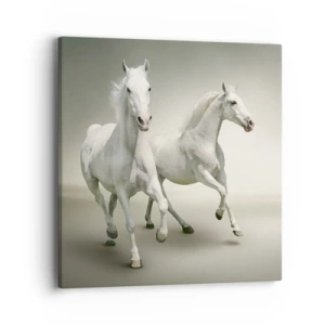 Obraz na plátne - White power! - 40x40 cm