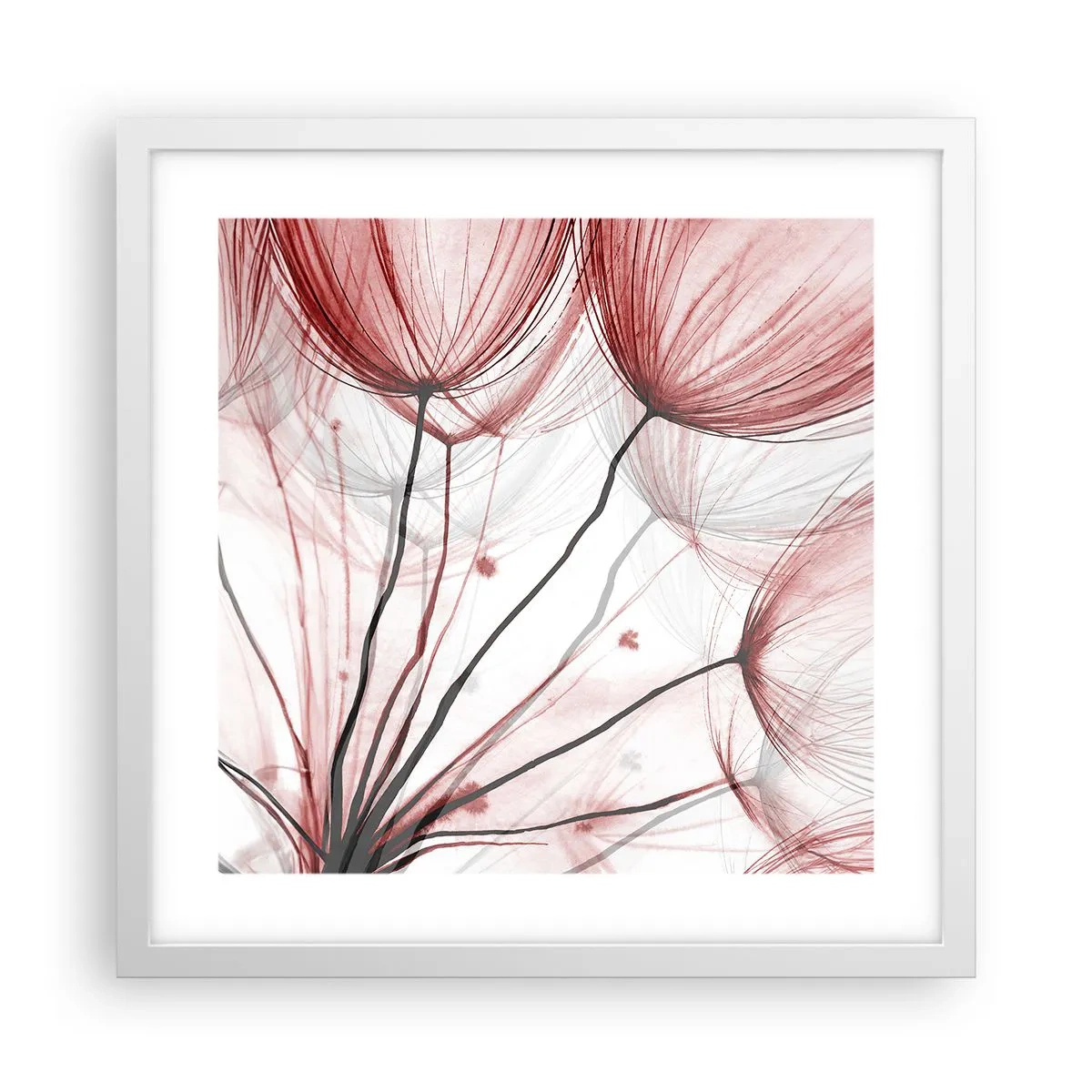 Plagát v bielom ráme - Pred odletom - 40x40 cm