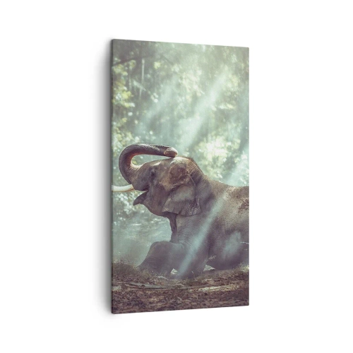 Obraz na plátne - A počuj toto… - 45x80 cm