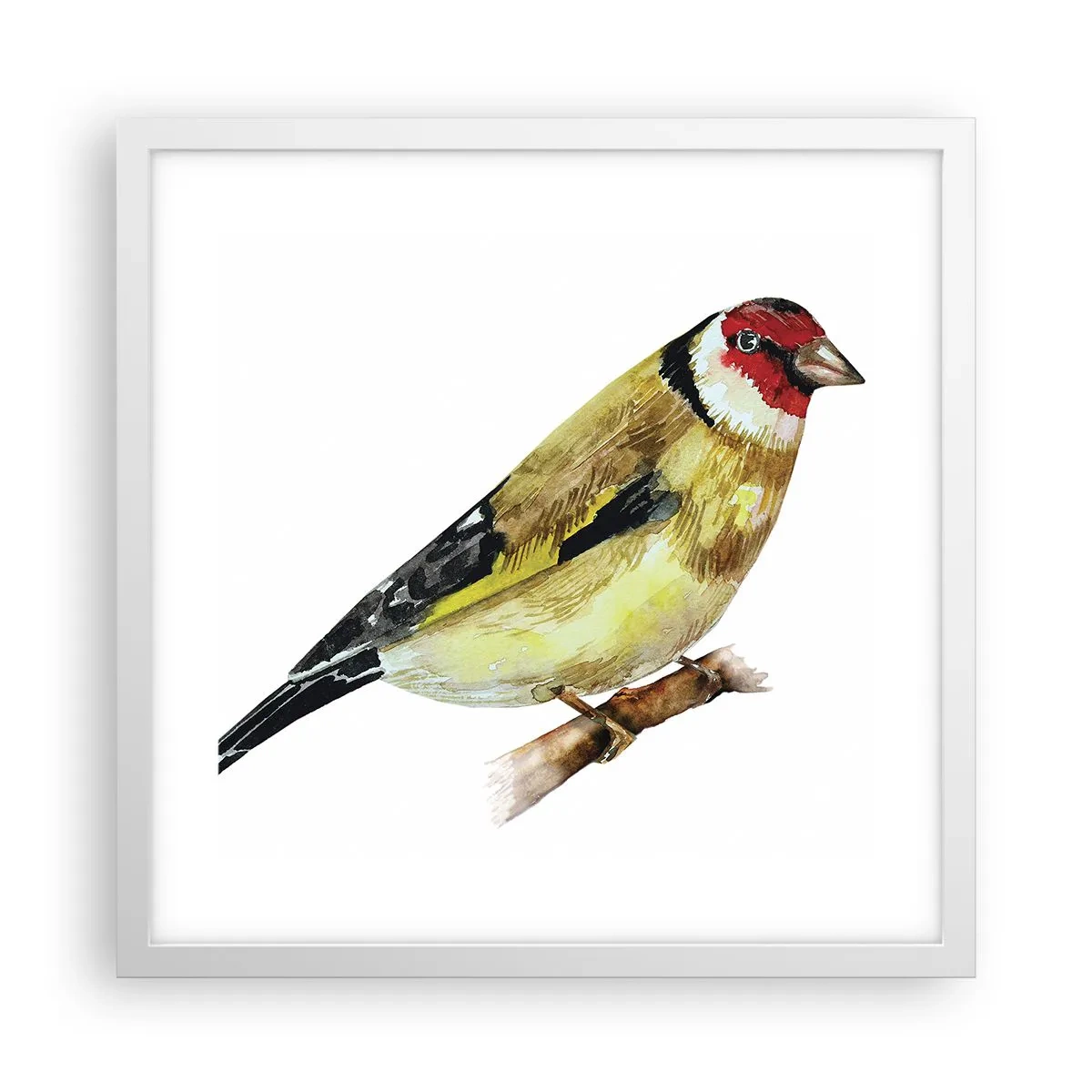 Plagát v bielom ráme - Vtáčí portrét - 40x40 cm