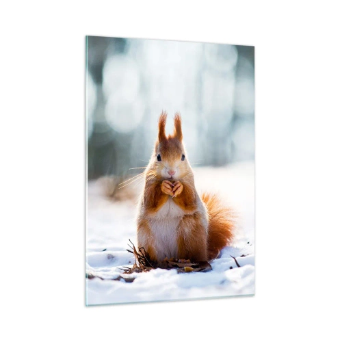 Obraz na skle - Čo sa tak pozeráš? - 50x70 cm