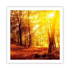 Plagát - K zlatej čistinke - 60x60 cm