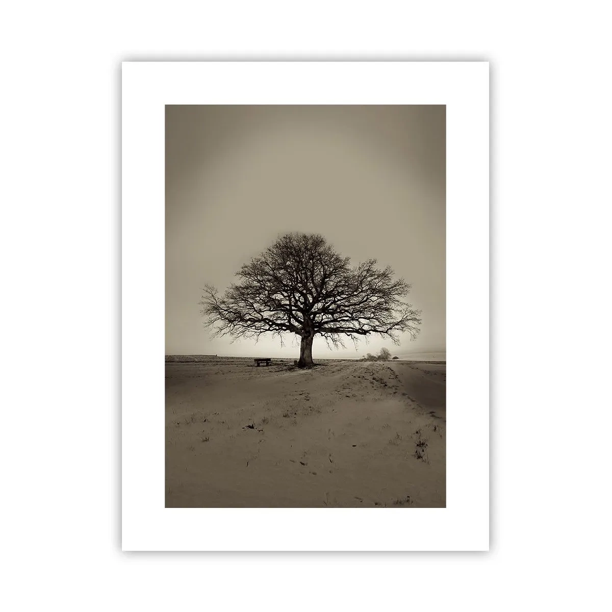 Plagát - Odtiaľ až do večnosti - 30x40 cm