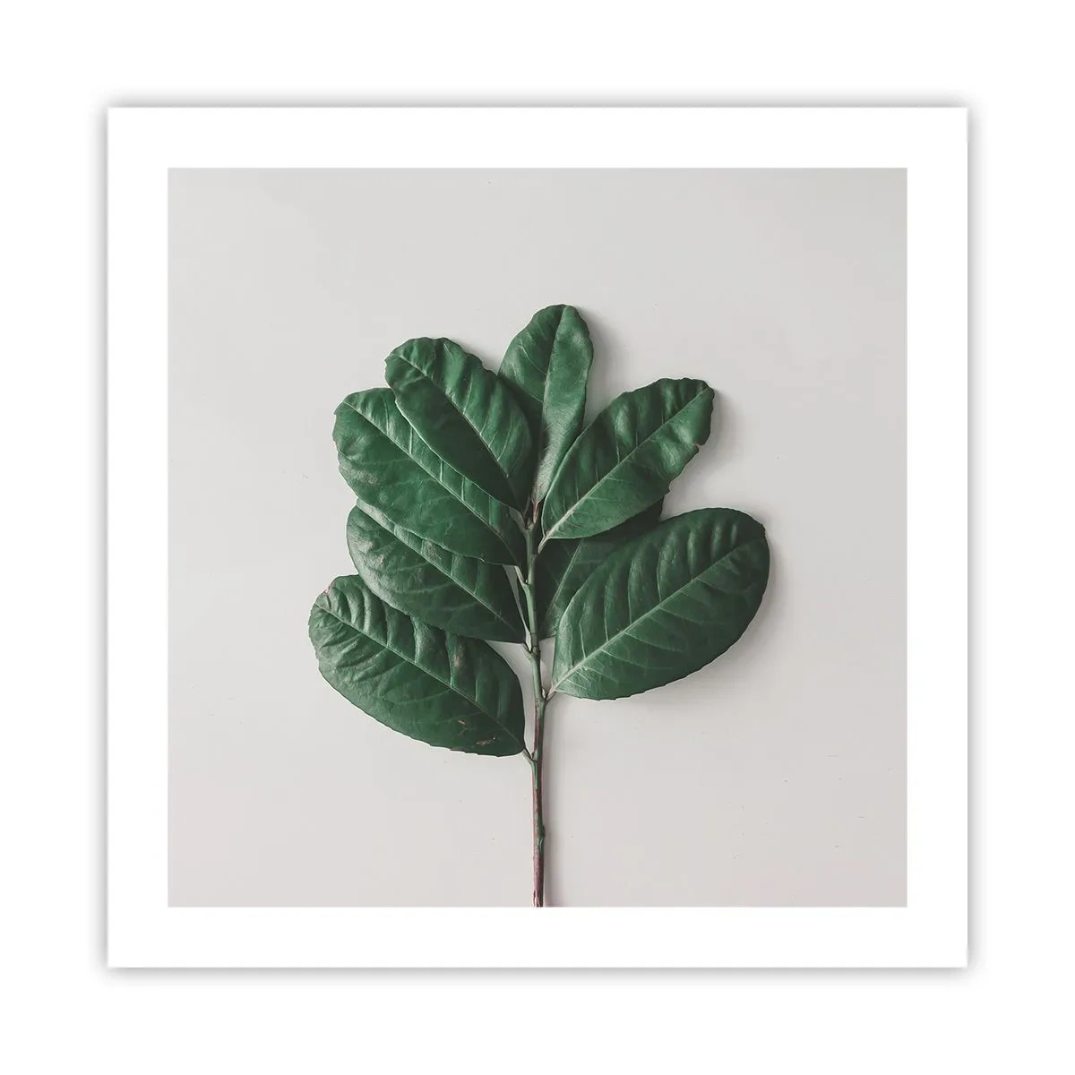 Plagát - Kresba samotnej prírody - 50x50 cm