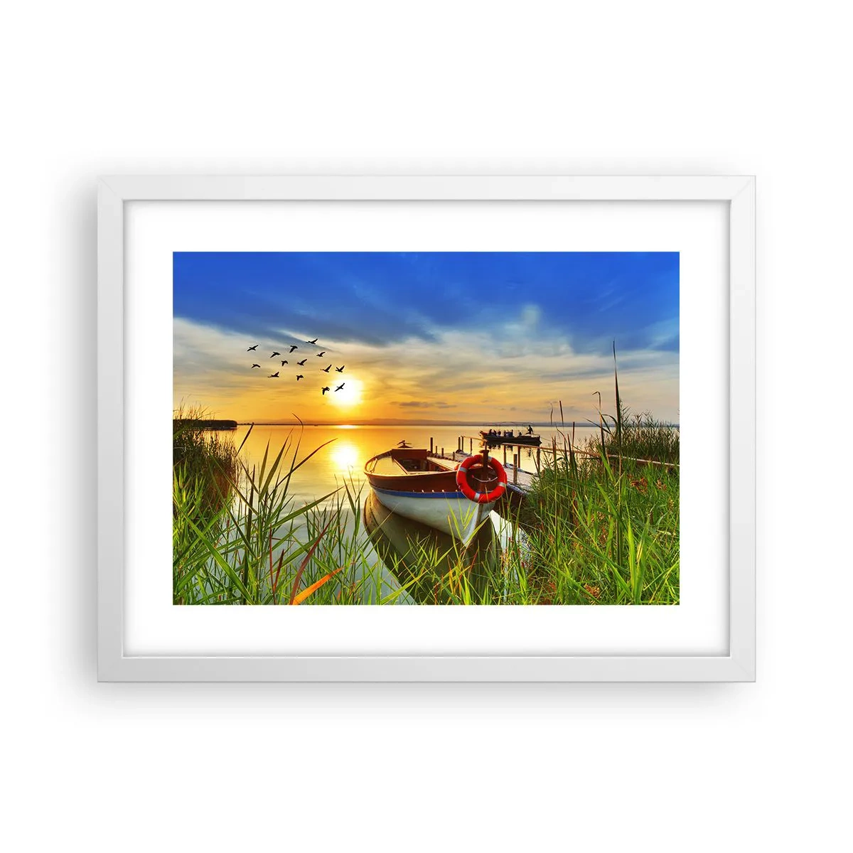 Plagát v bielom ráme - Kormorány už odlietajú - 40x30 cm