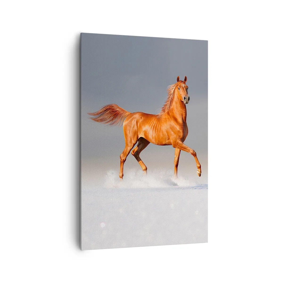 Obraz na plátne - Tancujúca elegancia - 80x120 cm