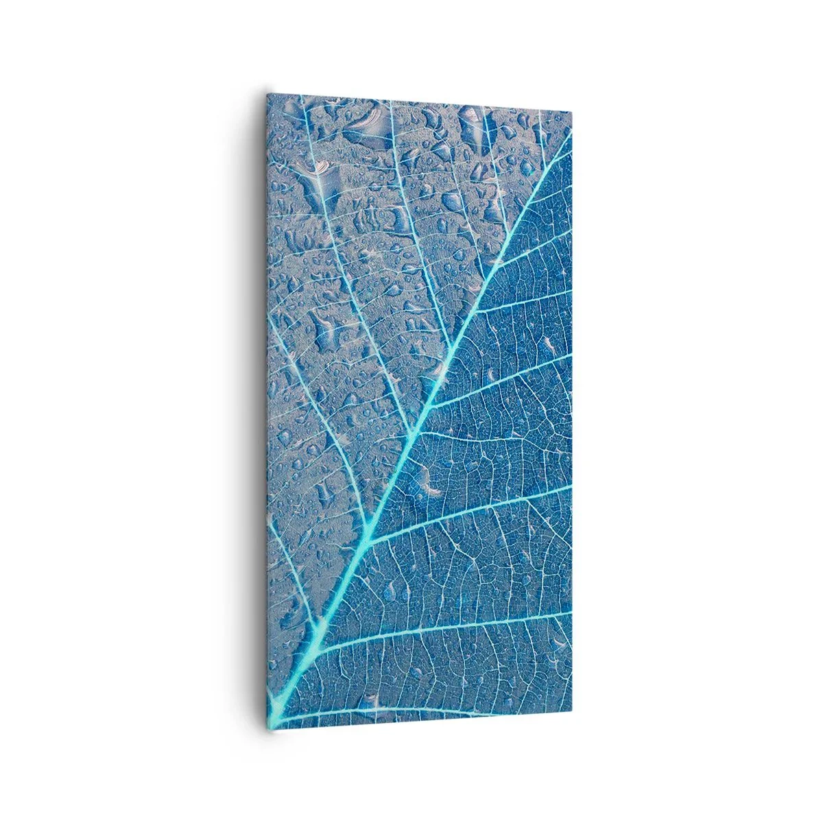 Obraz na plátne - Modrý život - 65x120 cm