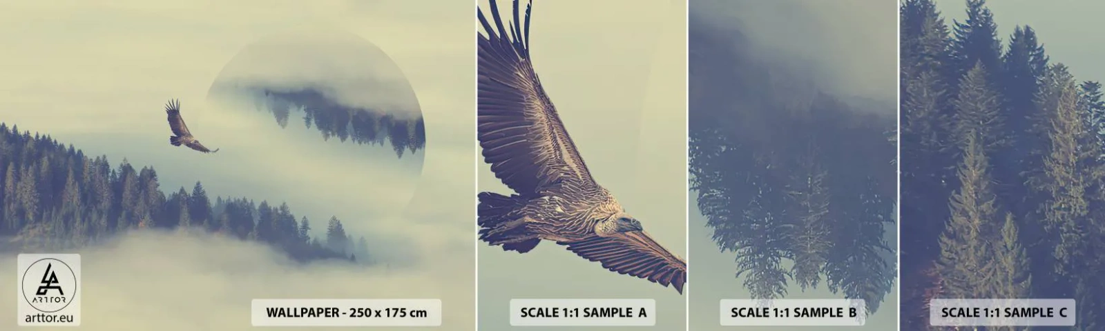 Vzorka samolepiacej fototapety Deluxe Sticker - Videla som tieň orla - Orol, Vták, les - 100x30 cm
