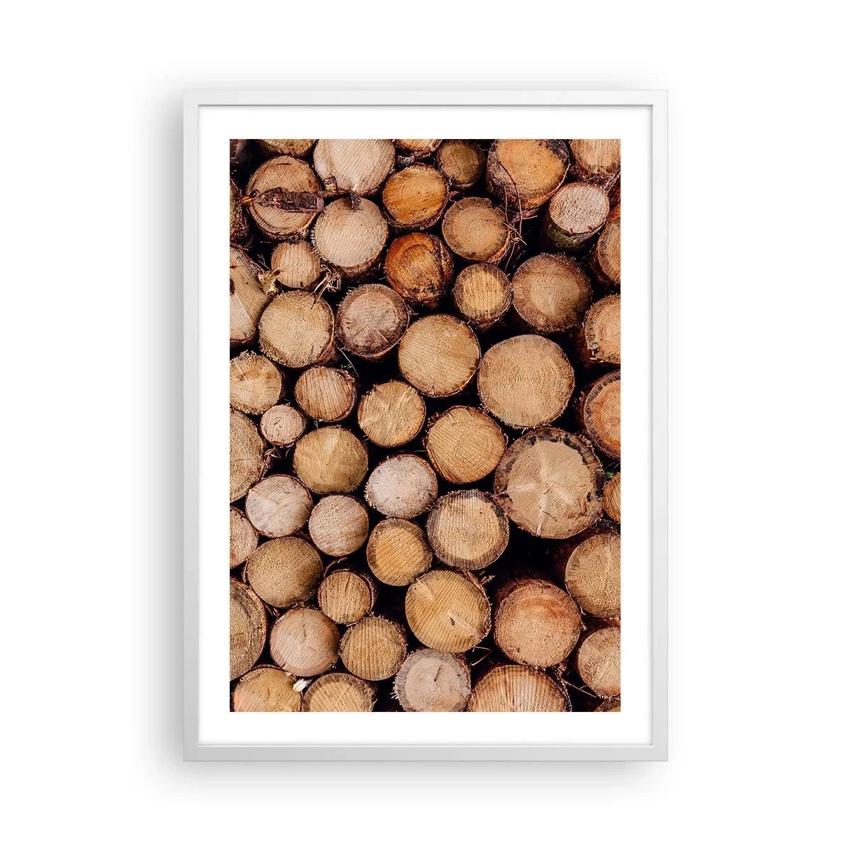 Plagát v bielom ráme - Nový začiatok - 50x70 cm