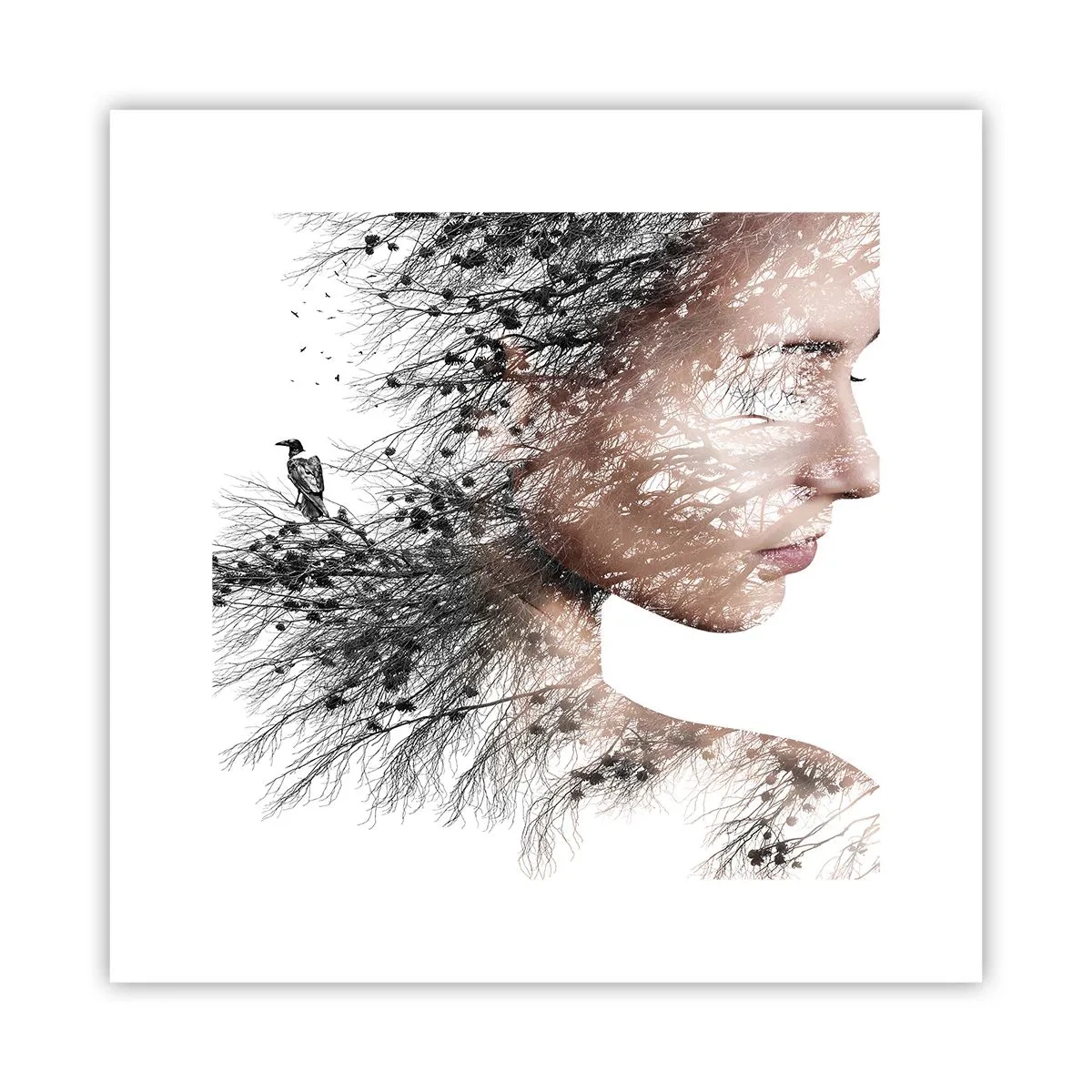 Plagát - Duch lesa - 30x30 cm