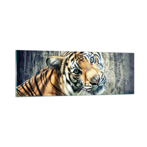 Obraz na skle - Portrét v prameňoch svetla - 90x30 cm