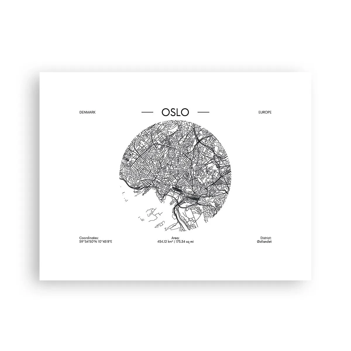 Plagát - Anatómia Osla - 40x30 cm