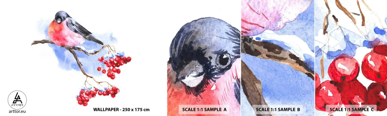 Vzorka samolepiacej fototapety Deluxe Sticker - Farebná zima - Vták Na Konári, Červená jarabina, Grafika - 100x30 cm