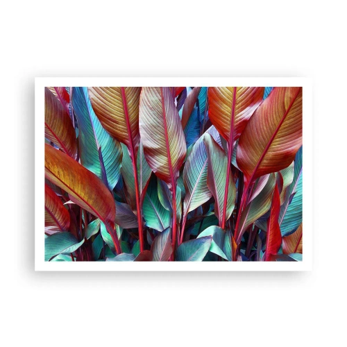 Plagát - Farebná húština - 100x70 cm