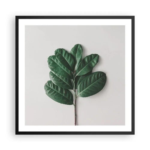 Plagát v čiernom ráme - Kresba samotnej prírody - 60x60 cm