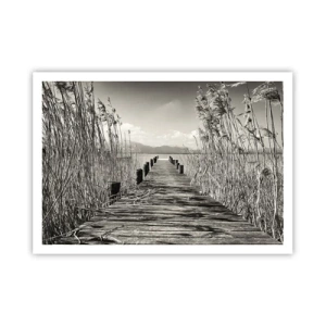 Plagát - V ústraní tráv - 100x70 cm