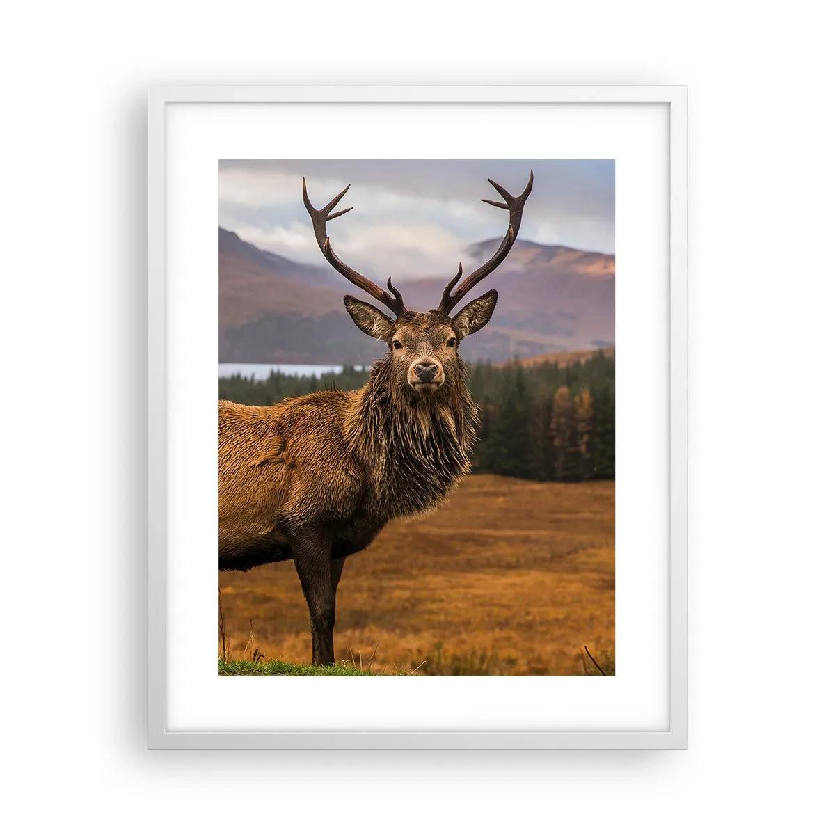 Plagát v bielom ráme - Majestát prírody - 40x50 cm