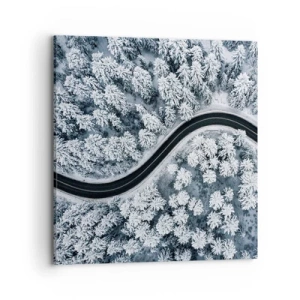 Obraz na plátne - Zimným lesom - 70x70 cm