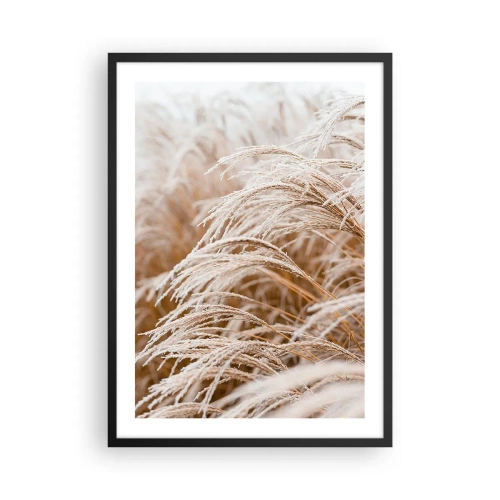 Plagát v čiernom ráme - Detailný záber na ojínené trávy v zimnej krajine - 50x70cm - Klanenie jesennému slnku - Moderná nástenná dekorácia do obývacej izby a spálne ARTTOR