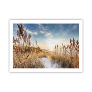 Plagát - Severná pláž - 70x50 cm