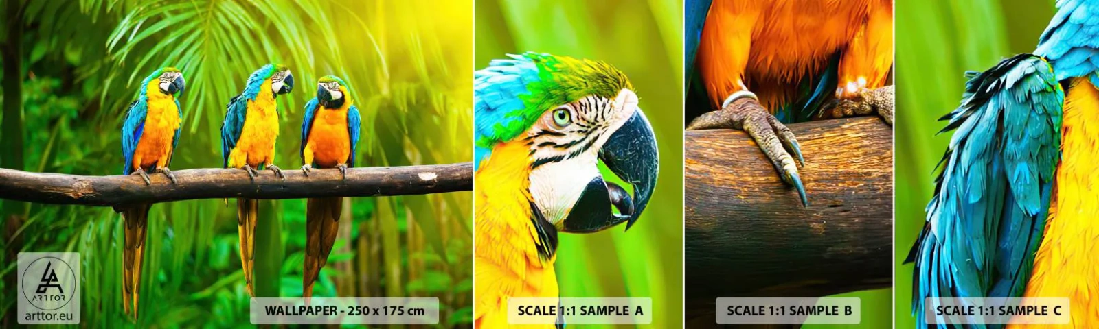 Vzorka Fototapeta Standard Eco - Počula si, že ona…? - Vtáky, Papagáje, Príroda - 100x30 cm