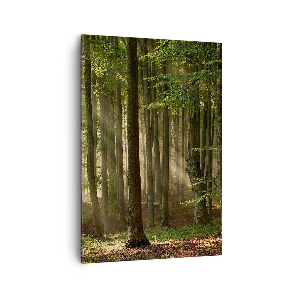 Obraz na plátne - Rozžiarený v jarnom ráne - 70x100 cm