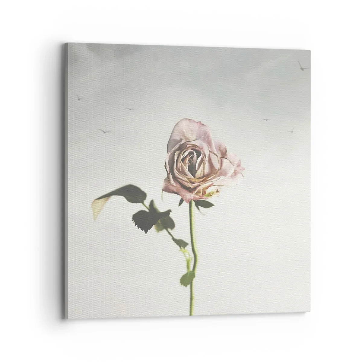 Obraz na plátne - Vítanie jari - 70x70 cm