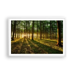 Plagát v bielom ráme - Fotografie všetkých jarí - 91x61 cm