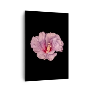 Obraz na plátne - Priamo do srdca - 70x100 cm