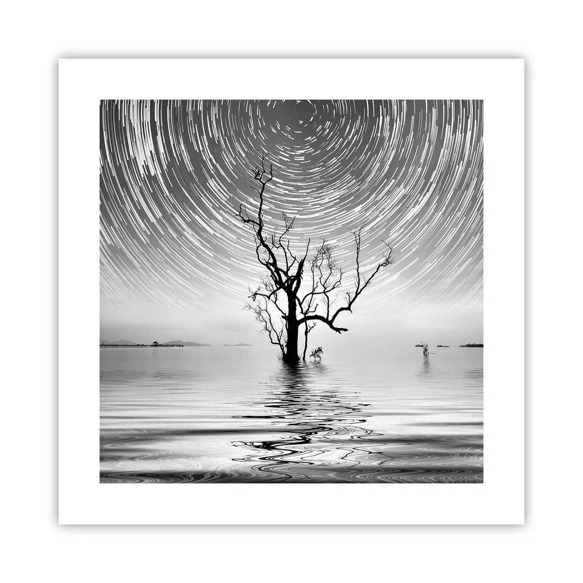 Plagát - Symfónia prírody - 40x40 cm