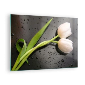 Obraz na skle - Biele tulipány na pozadí s kvapkami vody - 70x50cm - Jarná väzba - Moderná nástenná dekorácia do obývacej izby a spálne ARTTOR