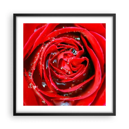 Plagát v čiernom ráme - V kvapkách rosy - 50x50 cm