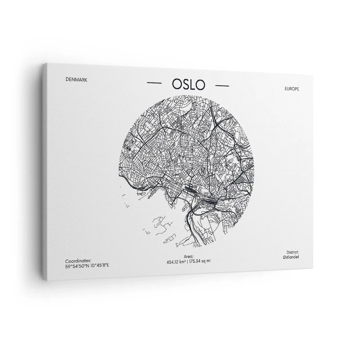 Obraz na plátne - Mapa Osla v minimalistickom čiernobielom štýle. - 70x50cm - Anatómia Osla - Moderná nástenná dekorácia do obývacej izby a spálne ARTTOR