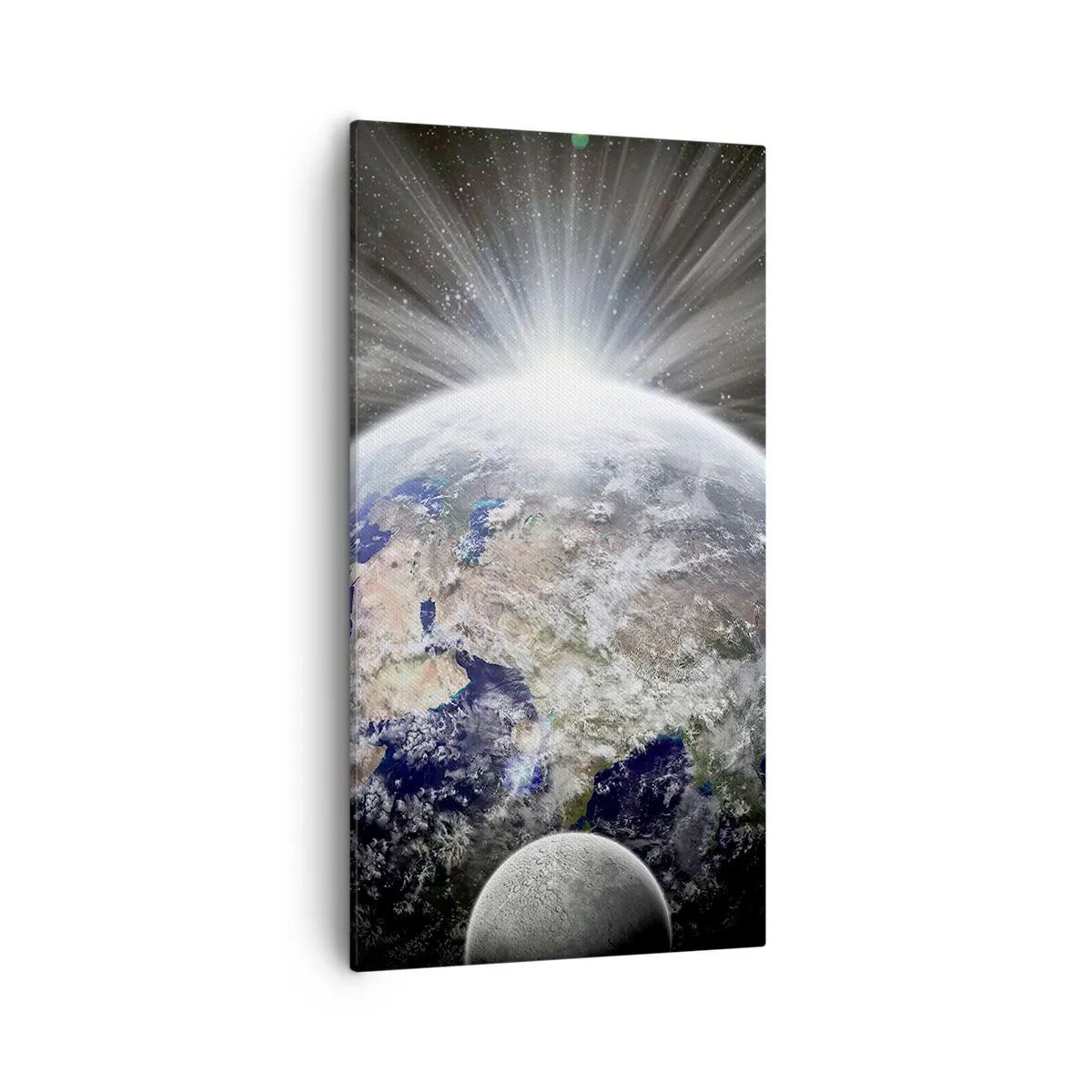 Obraz na plátne - V plnom lesku - 55x100 cm