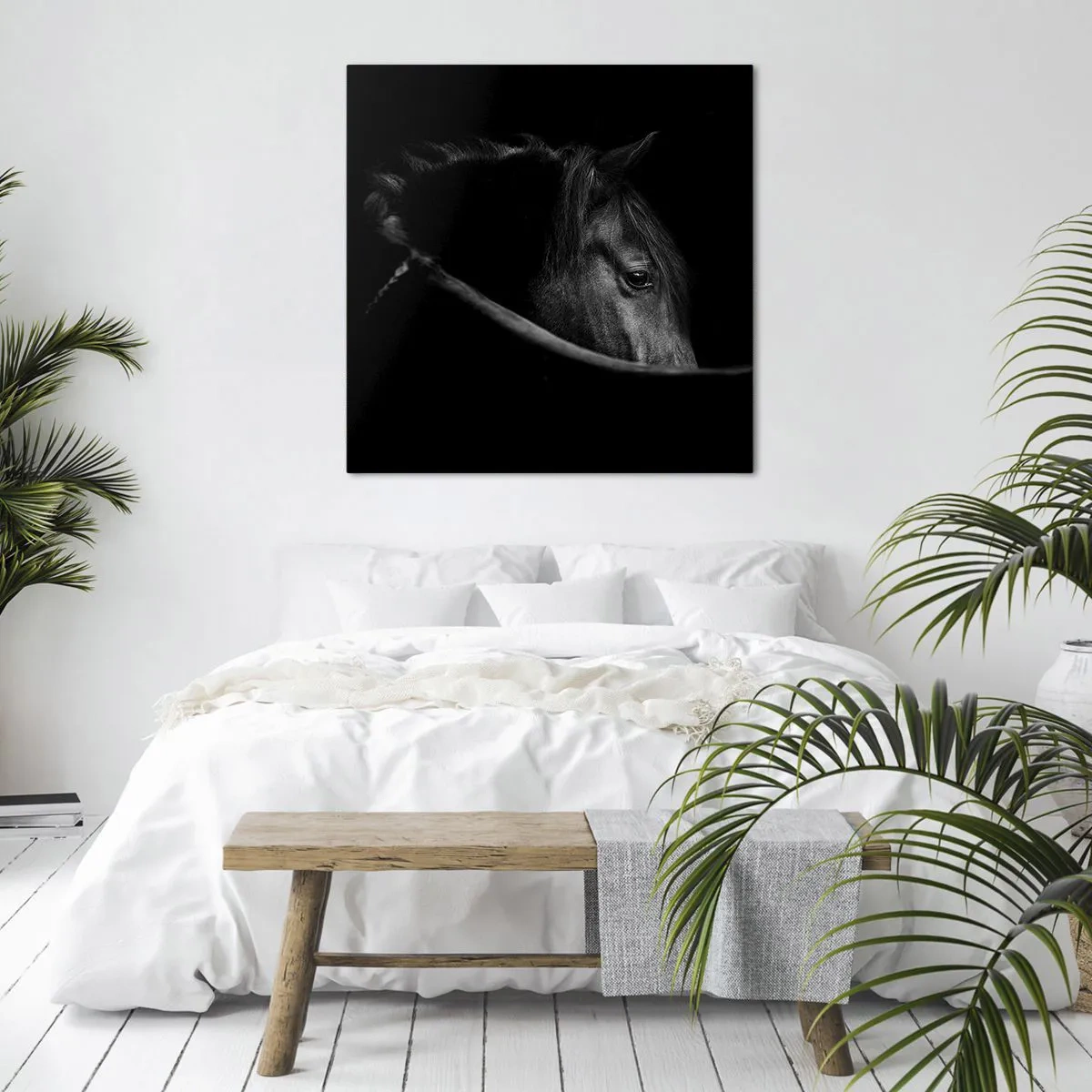 Obraz na plátne - Čierny knieža - 50x50 cm