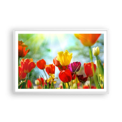 Plagát v bielom ráme - Všetky farby slnka - 91x61 cm